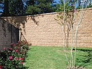 Firma Wall Mojave Tan