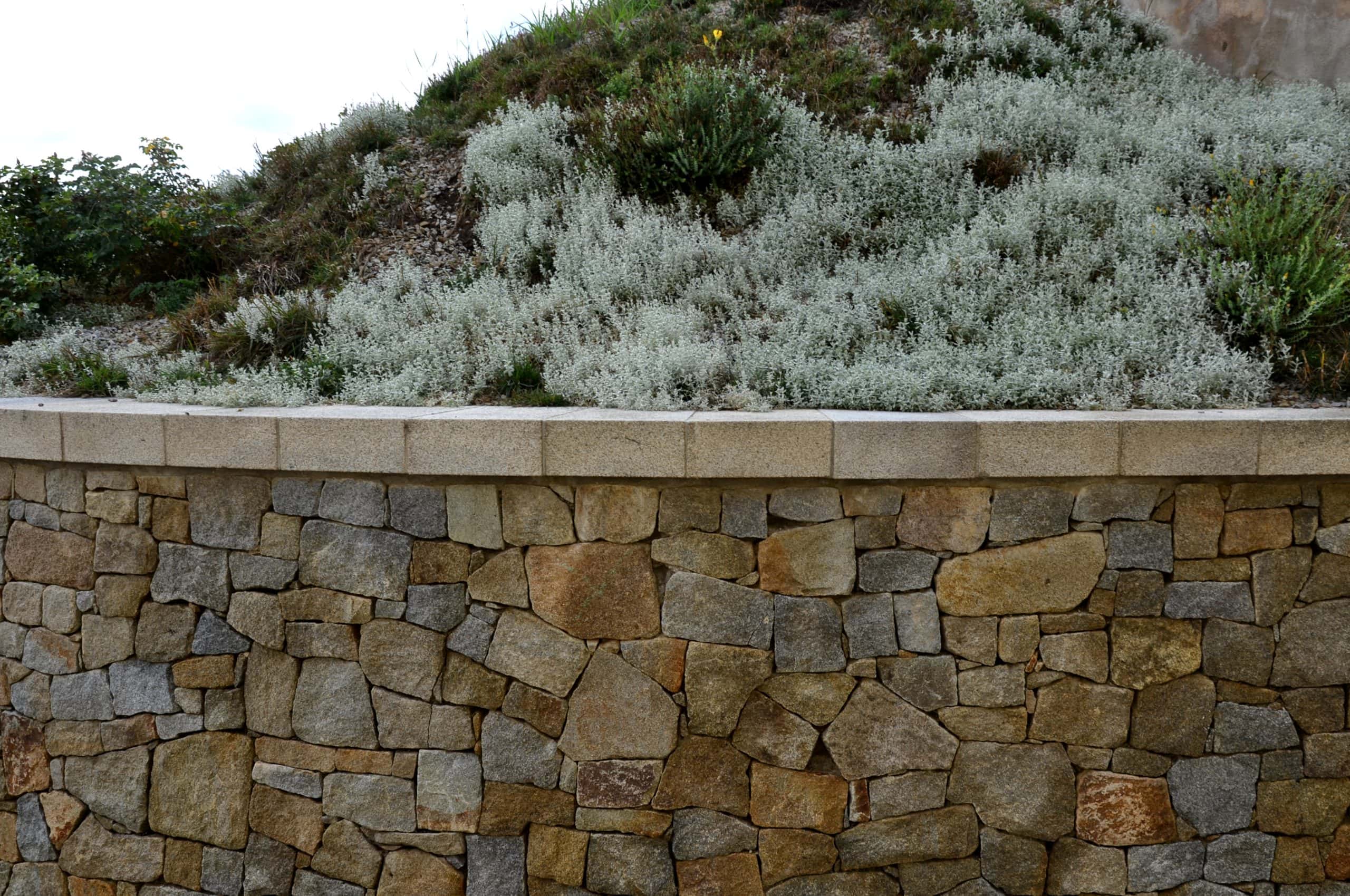 Stone retaining wall with irregularly shaped blocks in various earth tones. Above the wall is a slope covered in dense green and silver foliage.