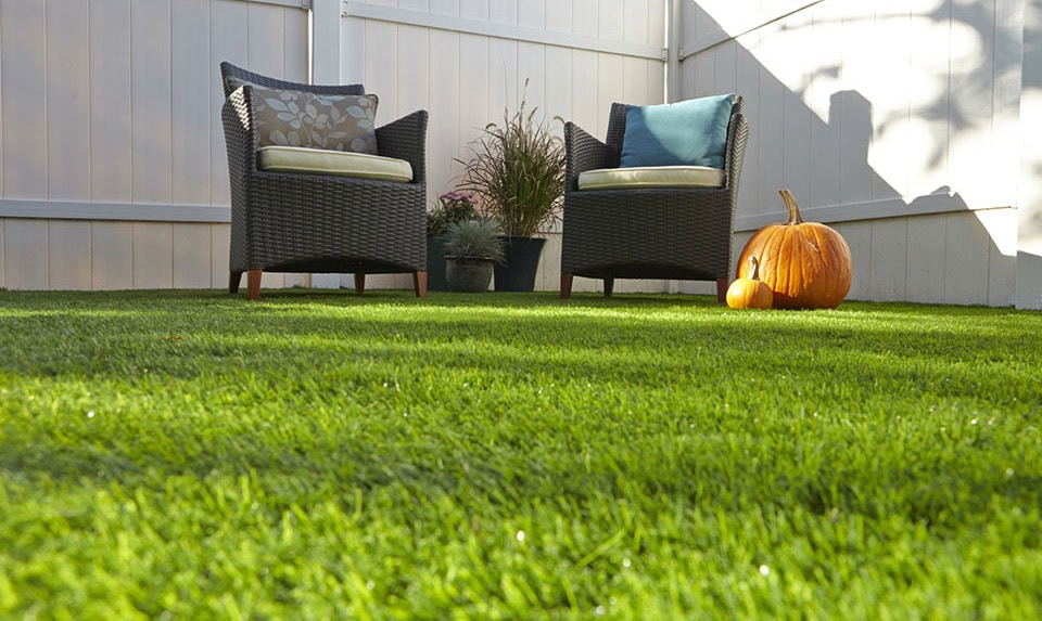 Two wicker chairs with cushions sit on a lawn next to potted plants. A large pumpkin with two smaller pumpkins is nearby. The area is enclosed by a white fence, and the scene is lit by sunlight.